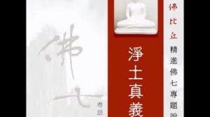 淨土真義 第二集 (粵語翻譯)